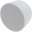 Picture of AXIS SPEAKER C1510 NETWORK PENDANT SPEAKER